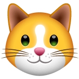 kedi-emoji